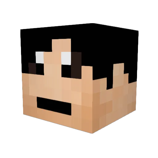 MisterAsian360 Minecraft avatar head, 3D render