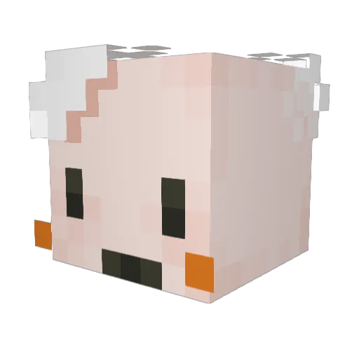 MisterBirdwing Minecraft avatar head, 3D render