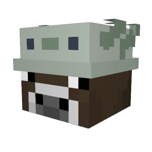 MisterBort Minecraft avatar head, 3D render