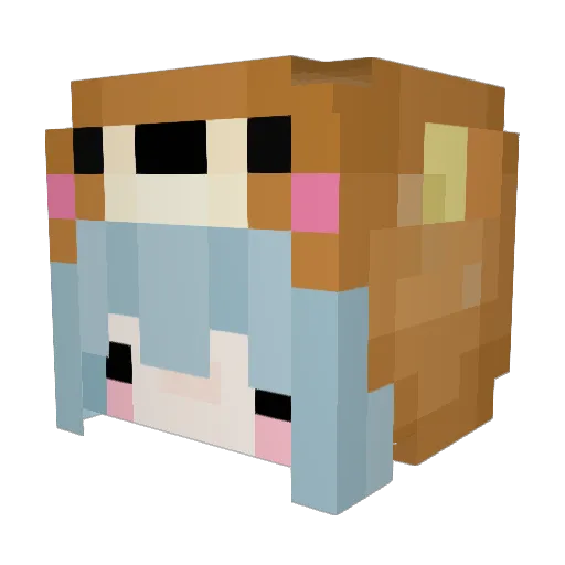 MisterBub_ Minecraft avatar head, 3D render