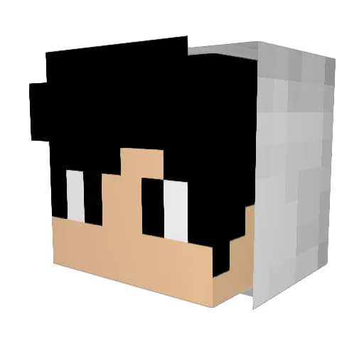 MisterCharlo Minecraft avatar head, 3D render