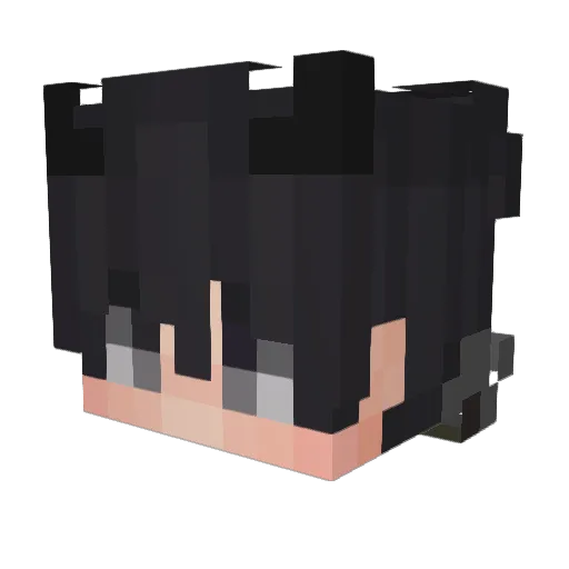 MisterD4arkPT Minecraft avatar head, 3D render