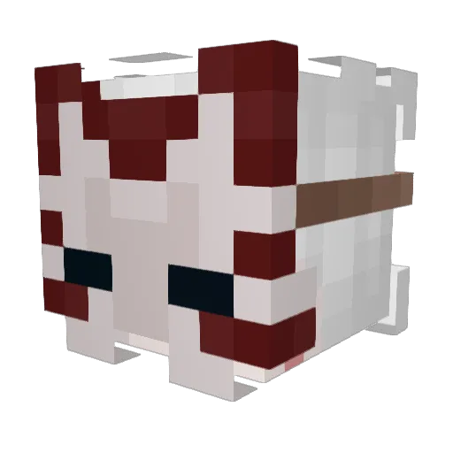 MisterDrif Minecraft avatar head, 3D render