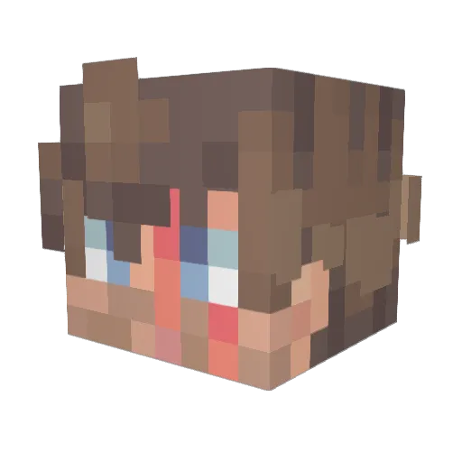 MisterDuckiee Minecraft avatar head, 3D render