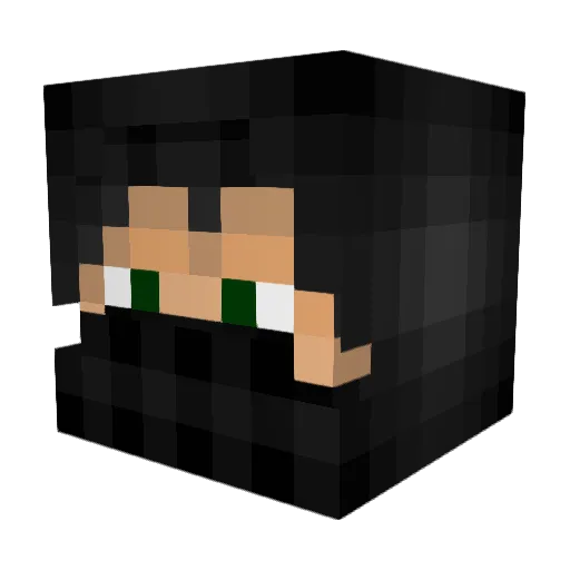 MisterFister127 Minecraft avatar head, 3D render