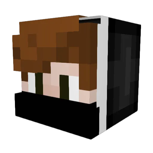 MisterFluxx Minecraft avatar head, 3D render