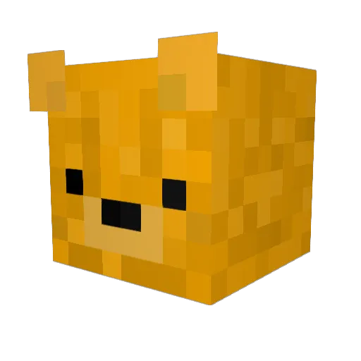 MisterFrogi Minecraft avatar head, 3D render