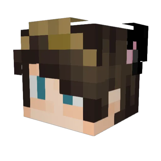MisterIceBeam Minecraft avatar head, 3D render