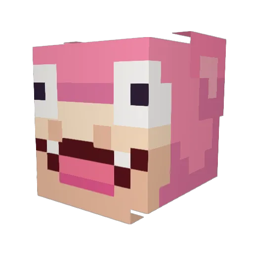 MisterKage Minecraft avatar head, 3D render