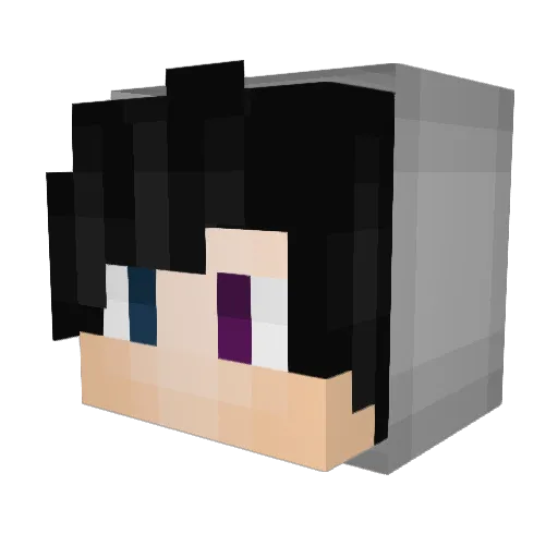 MisterMatty Minecraft avatar head, 3D render