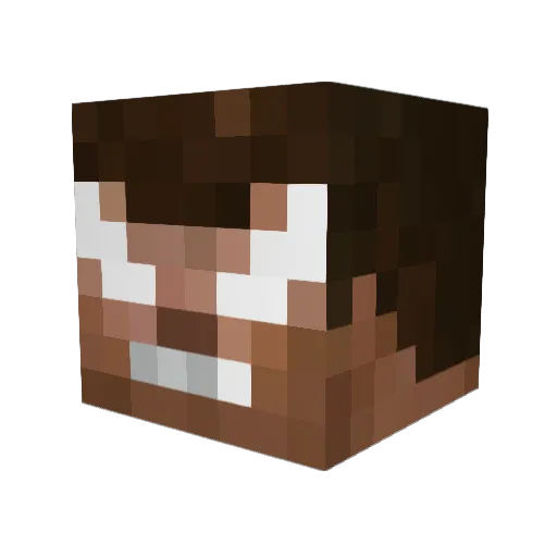 MisterOdd Minecraft avatar head, 3D render