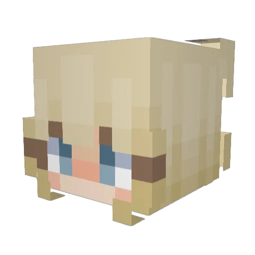 MisterOliver5 Minecraft avatar head, 3D render