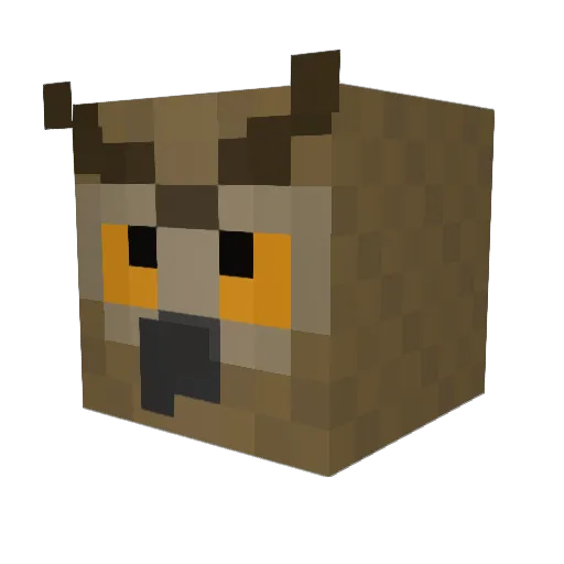 MisterOwlz Minecraft avatar head, 3D render