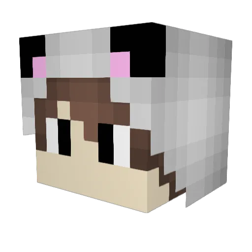 MisterPanda2002 Minecraft avatar head, 3D render