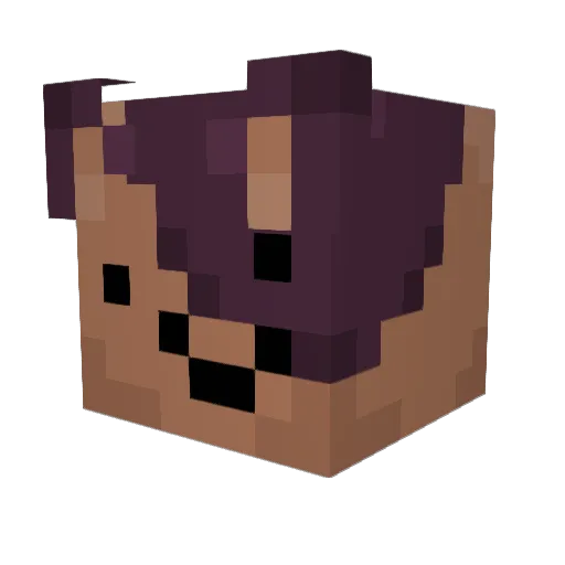 MisterPenguiin Minecraft avatar head, 3D render