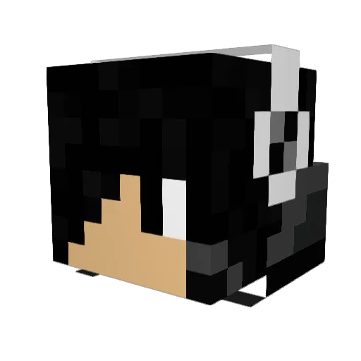 MisterPhoton Minecraft avatar head, 3D render