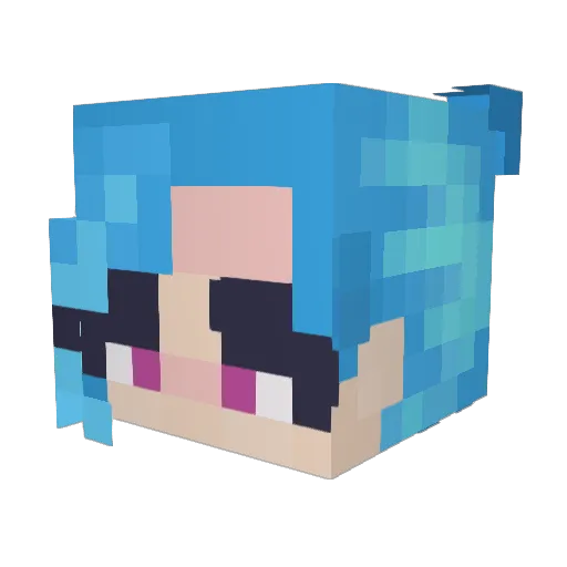 MisterPugglez Minecraft avatar head, 3D render