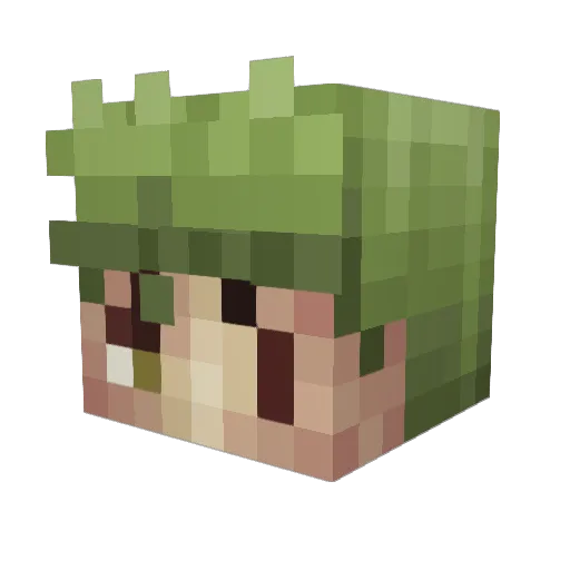 MisterRain Minecraft avatar head, 3D render