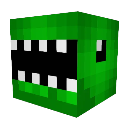 MisterRandom Minecraft avatar head, 3D render