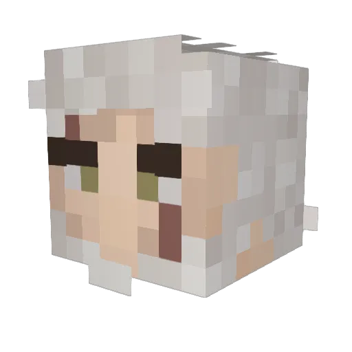 MisterSala2 Minecraft avatar head, 3D render