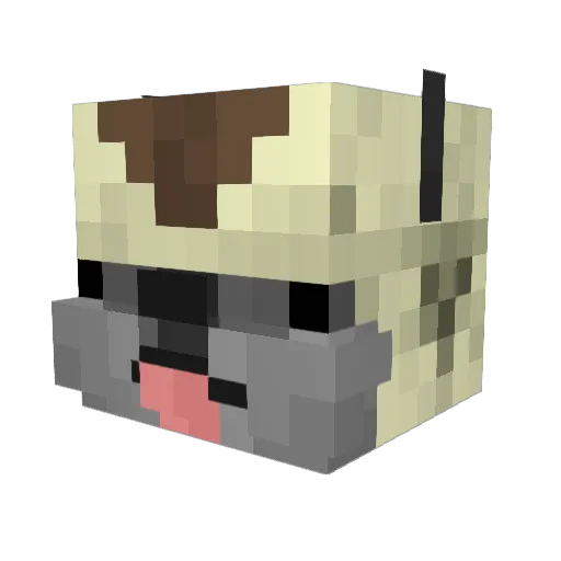 MisterScottG Minecraft avatar head, 3D render