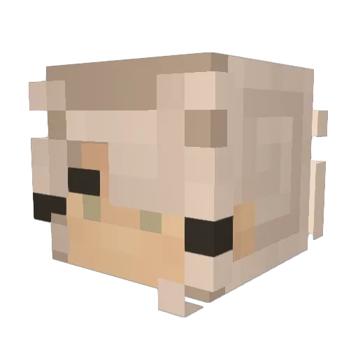 MisterSun3800 Minecraft avatar head, 3D render