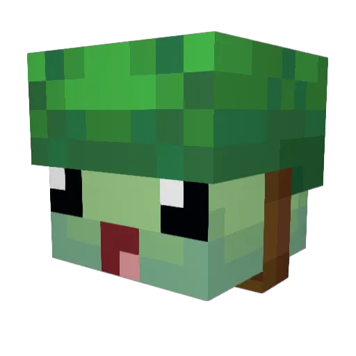 MisterTurtle06 Minecraft avatar head, 3D render
