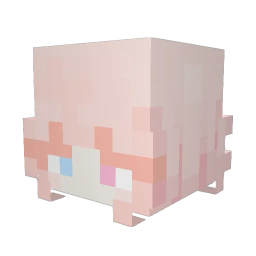 MisterUnkn0wn Minecraft avatar head, 3D render