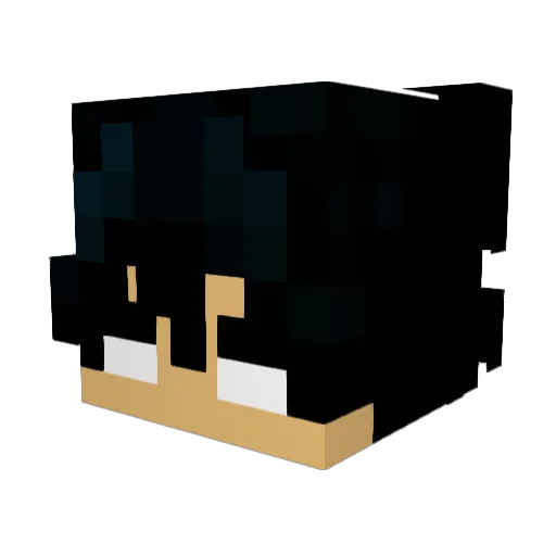 MisterX1317 Minecraft avatar head, 3D render