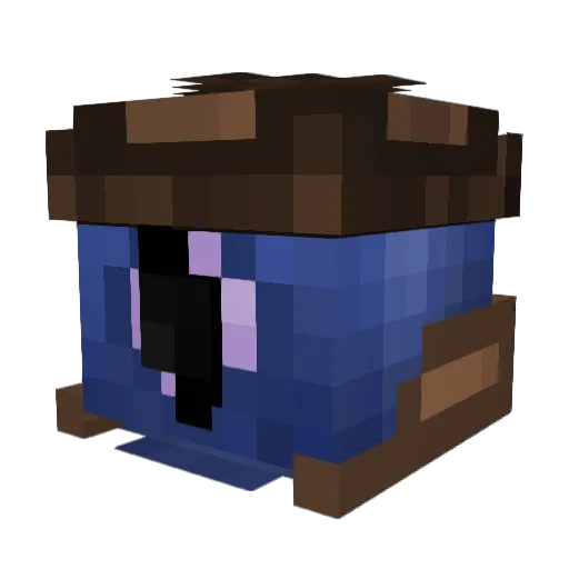 Mister_Blueberry Minecraft avatar head, 3D render