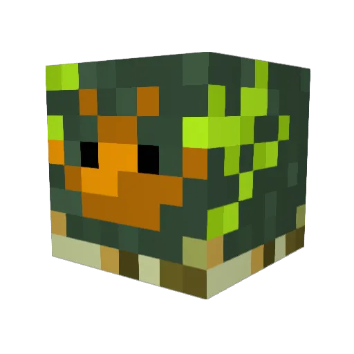 Mister_E_1013 Minecraft avatar head, 3D render