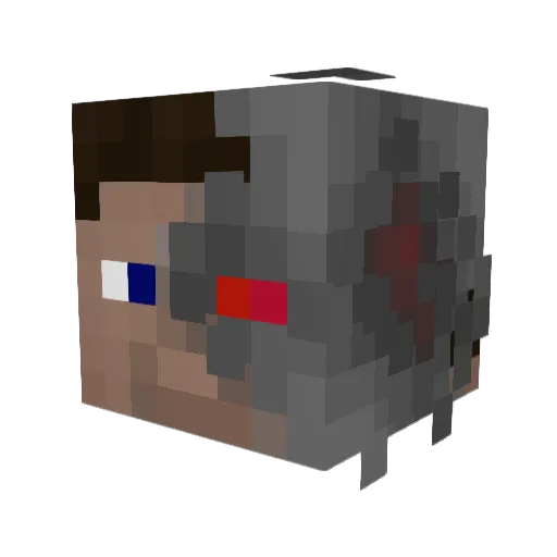 Mister_Kidney Minecraft avatar head, 3D render