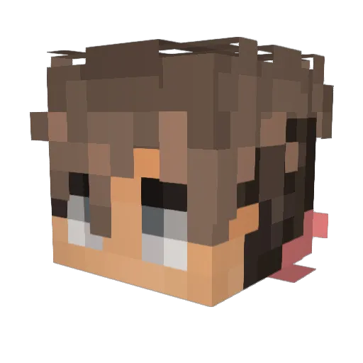 Mister_Misery Minecraft avatar head, 3D render