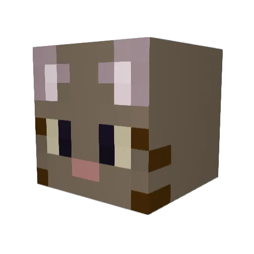 Mister_TiPoulet Minecraft avatar head, 3D render