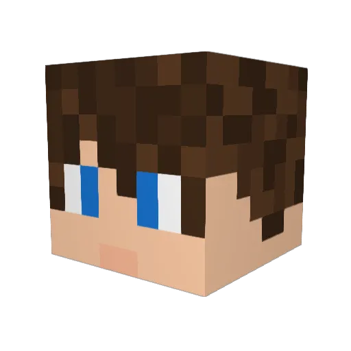 Misterfish62 Minecraft avatar head, 3D render