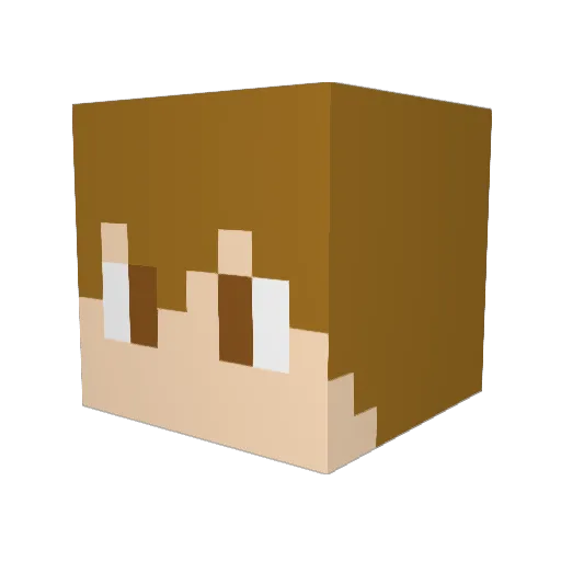 Misterix22 Minecraft avatar head, 3D render