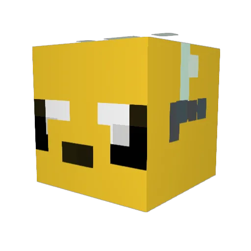 MisterrCaat Minecraft avatar head, 3D render