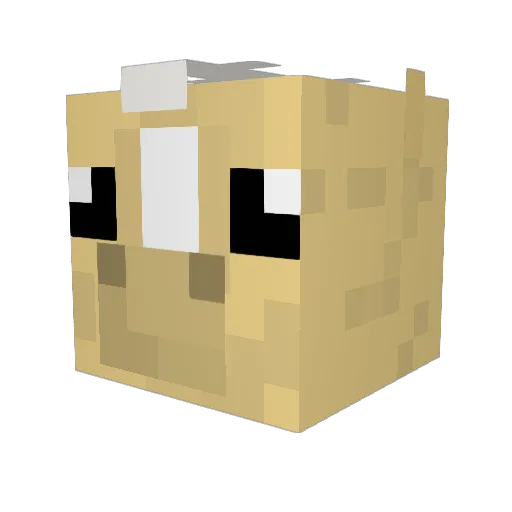 Misterval62 Minecraft avatar head, 3D render
