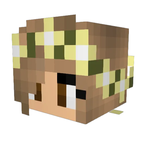 Mistiix_ Minecraft avatar head, 3D render