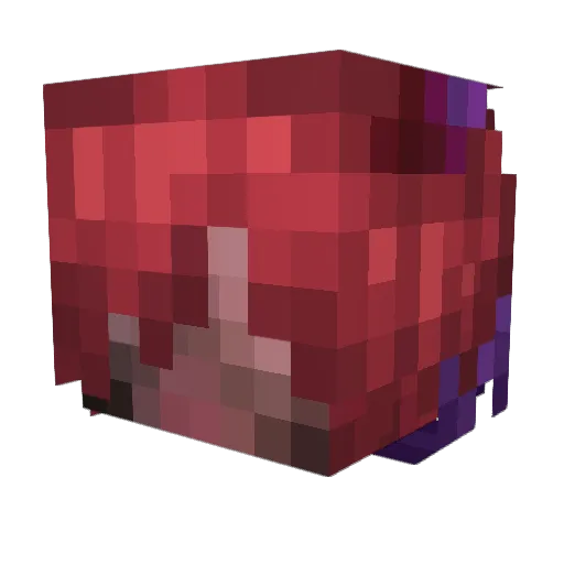 MistorD Minecraft avatar head, 3D render