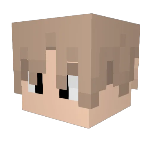 Mistrall_ Minecraft avatar head, 3D render