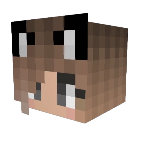Misty4515 Minecraft avatar head, 3D render