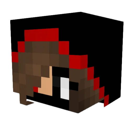 Mistybird737 Minecraft avatar head, 3D render