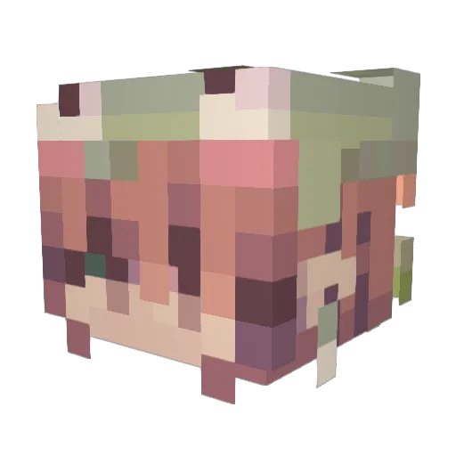 Misu_soup Minecraft avatar head, 3D render