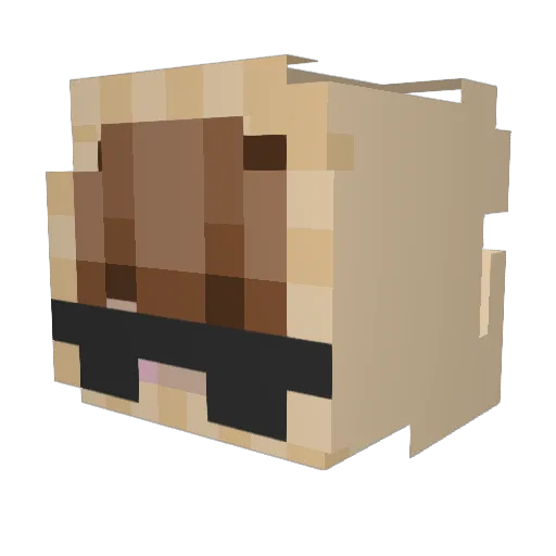 Misujay Minecraft avatar head, 3D render