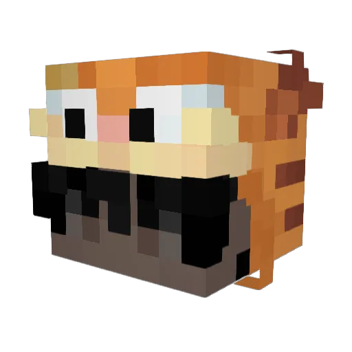 Misx_ Minecraft avatar head, 3D render