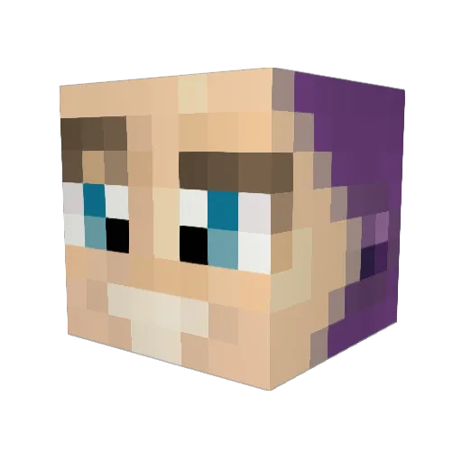 Mitch3Burke Minecraft avatar head, 3D render