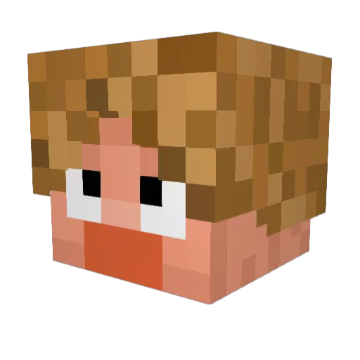 MitchWho Minecraft avatar head, 3D render
