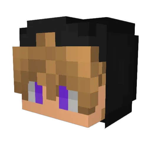 Mitcheru6234 Minecraft avatar head, 3D render