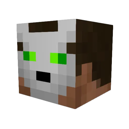 Mitchodak Minecraft avatar head, 3D render